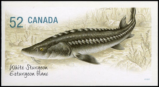 Timbre Canada Y&T N�2309