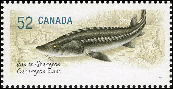 Timbre Canada Y&T N�2313