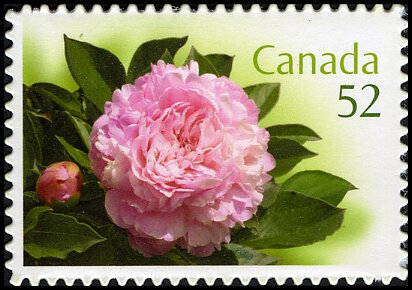 Timbre Canada Y&T N�2341