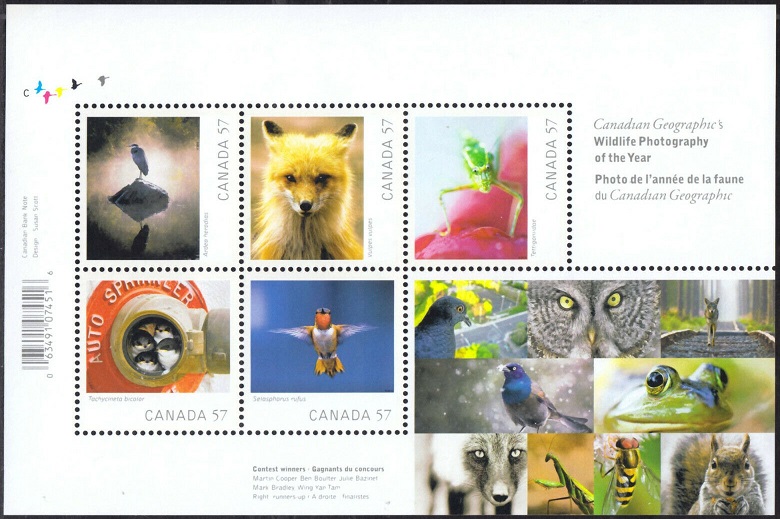 Timbre Canada Y&T NBF132