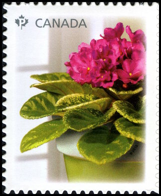 Timbre Canada Y&T N°2505 Timbre Canada Y&T N°2505