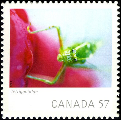 Timbre Canada Y&T N2522