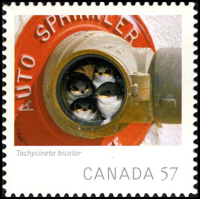 Timbre Canada Y&T N2523