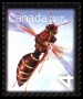Briefmarken Canada Y&T N2546