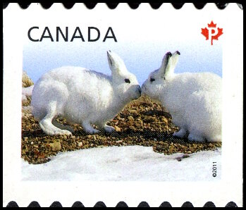 Timbre Canada Y&T N°2570 Timbre Canada Y&T N°2570