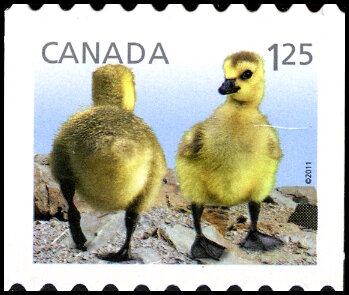 Timbre Canada Y&T N°2572 Timbre Canada Y&T N°2572