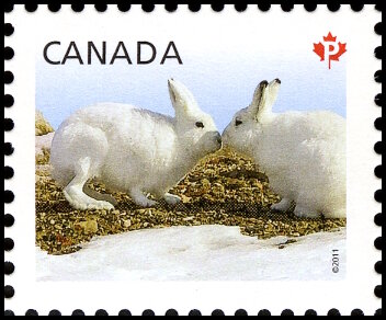 Timbre Canada Y&T N°2574 Timbre Canada Y&T N°2574