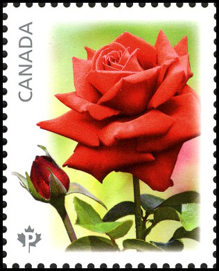 Briefmarken Canada Y&T N°2974 Briefmarken Canada Y&T N°2974