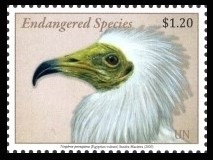 Timbre O.N.U. New-York Y&T N�1674