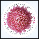 Timbre Y&T N2020-023