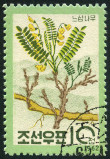 Timbre Y&T N�428