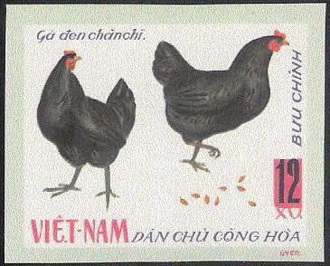 Stamp North Vietnam Y&T N°565nd Stamp North Vietnam Y&T N°565nd