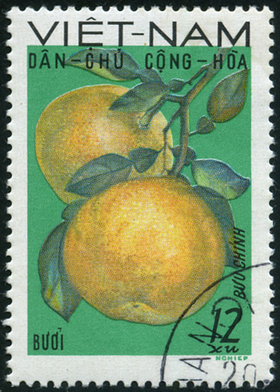 Timbre Vietnam du Nord Y&T N649