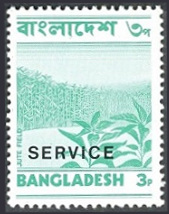 Timbre Bangladesh Y&T NSE2