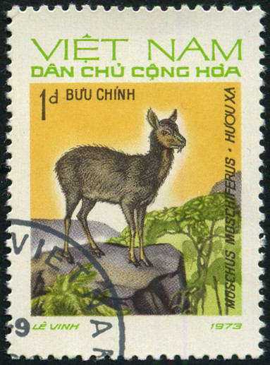 Timbre Vietnam du Nord Y&T N793