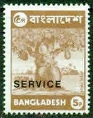 Timbre Bangladesh Y&T NSE3