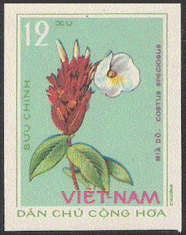 Timbre Vietnam du Nord Y&T N°848nd Timbre Vietnam du Nord Y&T N°848nd
