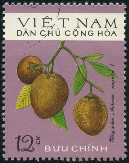 Timbre Vietnam du Nord Y&T N°855 Timbre Vietnam du Nord Y&T N°855