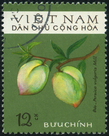 Timbre Vietnam du Nord Y&T N°856 Timbre Vietnam du Nord Y&T N°856