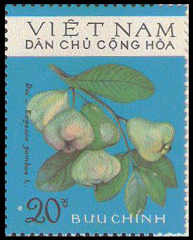 Timbre Vietnam du Nord Y&T N°857 Timbre Vietnam du Nord Y&T N°857