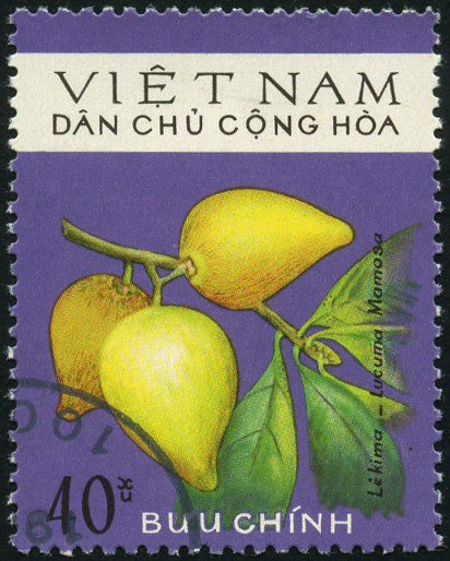Timbre Vietnam du Nord Y&T N°859 Timbre Vietnam du Nord Y&T N°859