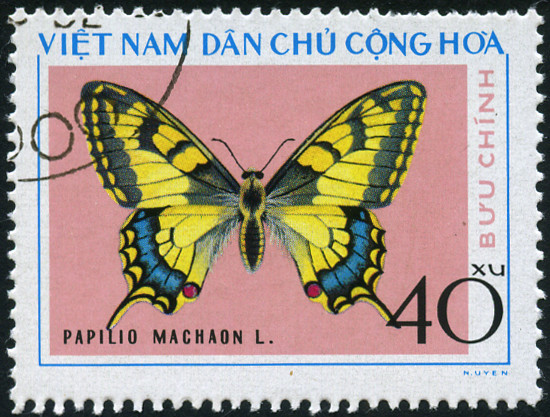 Timbre Vietnam du Nord Y&T N°888 Timbre Vietnam du Nord Y&T N°888