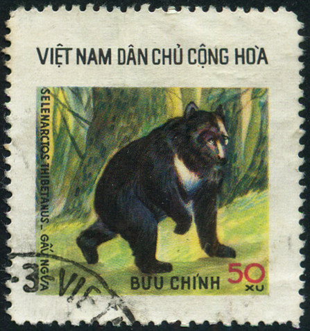 Timbre Vietnam du Nord Y&T N°897 Timbre Vietnam du Nord Y&T N°897