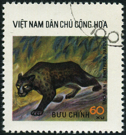 Timbre Vietnam du Nord Y&T N°898 Timbre Vietnam du Nord Y&T N°898
