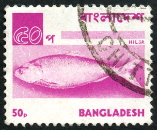 Timbre Bangladesh Y&T N°86