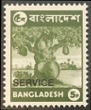 Timbre Bangladesh Y&T NSE12