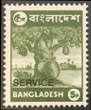 Timbre Bangladesh Y&T NSE12