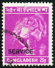 Timbre Bangladesh Y&T NSE15