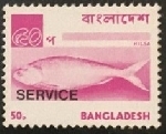 Timbre Bangladesh Y&T NSE16