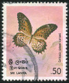 Timbre Y&T N501