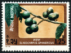 Timbre Y&T N�341