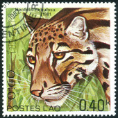 Timbre Y&T N373