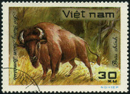 Briefmarken Y&T N307