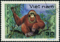 Briefmarken Y&T N308