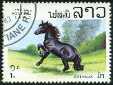 Timbre Y&T N455