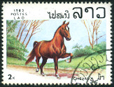 Timbre Y&T N456