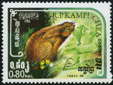 Stamp Y&T N507