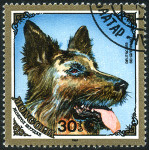 Timbre Y&T N1305
