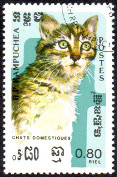 Briefmarken Y&T N548