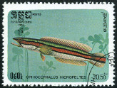 Briefmarken Y&T N598