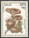 Timbre Y&T N639