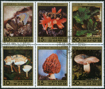 Timbre Y&T N1850-53-PA17-18