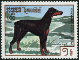Stamp Y&T N�722
