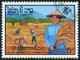 Timbre Y&T N826
