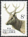 Stamp Y&T N�2917