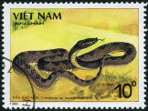 Timbre Y&T N897